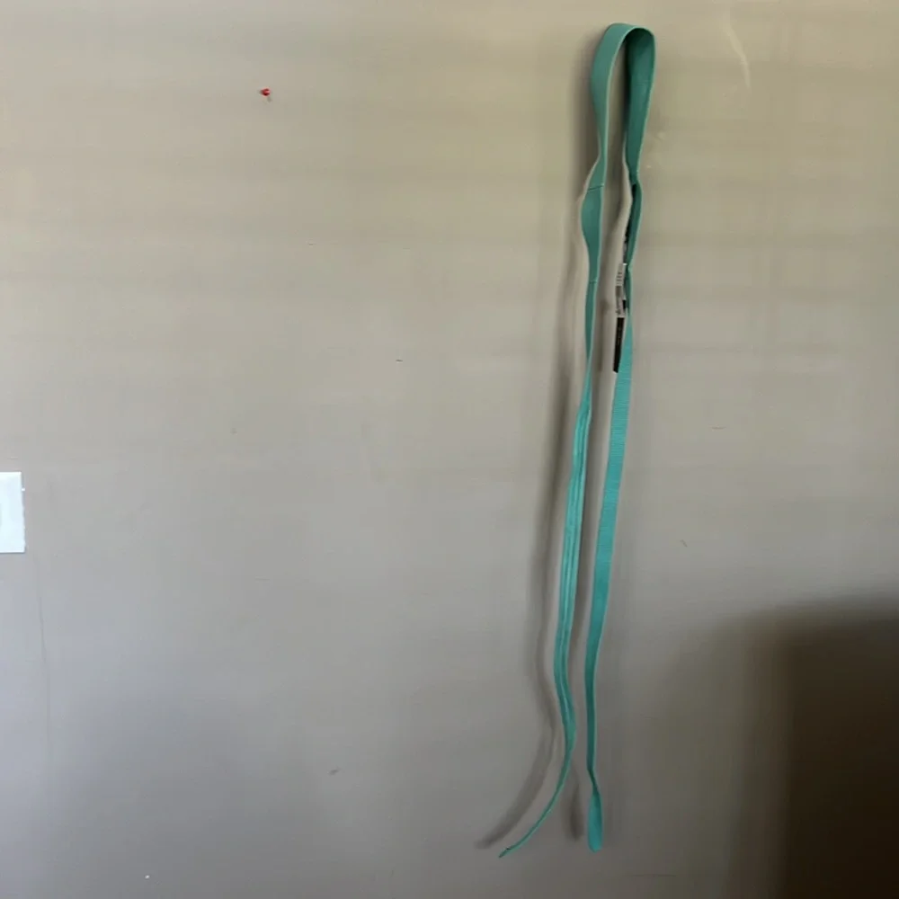 ADA COLLECTION WRAP BELT--AQUA PYTHON - Picture 3 of 11